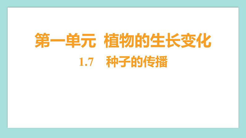 1.7 种子的传播（习题课件）教科版（2017）四年级科学下册第1页