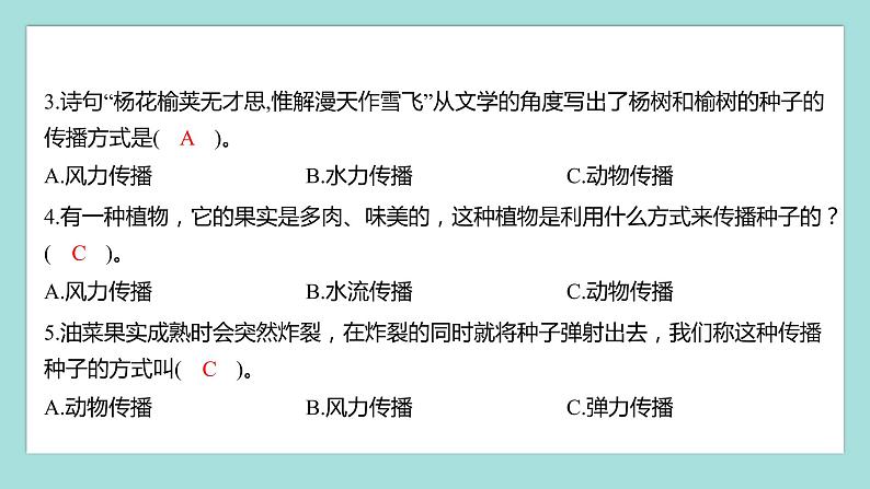 1.7 种子的传播（习题课件）教科版（2017）四年级科学下册第3页