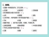 3.3 岩石的组成（习题课件）教科版（2017）四年级科学下册