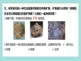 3.3 岩石的组成（习题课件）教科版（2017）四年级科学下册