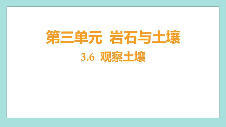 3.6 观察土壤（习题课件）教科版（2017）四年级科学下册01