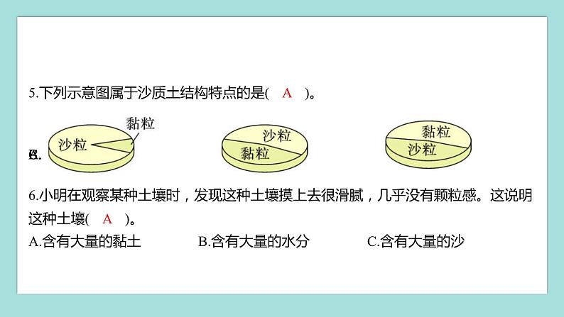 3.7 比较不同的土壤（习题课件）教科版（2017）四年级科学下册04