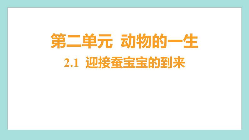 2.1 迎接蚕宝宝的到来（习题课件）教科版（2017）三年级科学下册01