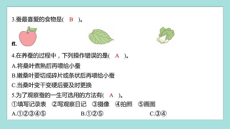 2.1 迎接蚕宝宝的到来（习题课件）教科版（2017）三年级科学下册03