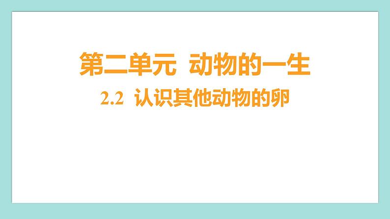 2.2 认识其他动物的卵（习题课件）教科版（2017）三年级科学下册第1页