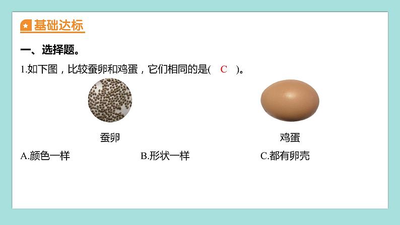 2.2 认识其他动物的卵（习题课件）教科版（2017）三年级科学下册第2页