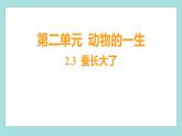 2.3 蚕长大了（习题课件）教科版（2017）三年级科学下册