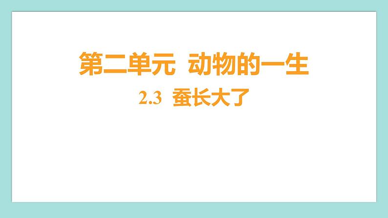 2.3 蚕长大了（习题课件）教科版（2017）三年级科学下册第1页