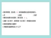 2.3 蚕长大了（习题课件）教科版（2017）三年级科学下册