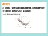 2.3 蚕长大了（习题课件）教科版（2017）三年级科学下册
