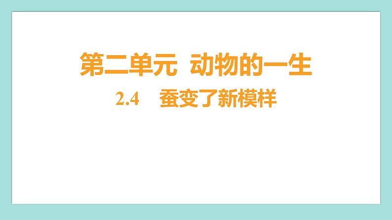 2.4 蚕变了新模样（习题课件）教科版（2017）三年级科学下册01