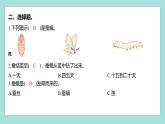 2.5 茧中钻出了蚕蛾（习题课件）教科版（2017）三年级科学下册