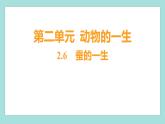 2.6 蚕的一生（习题课件）教科版（2017）三年级科学下册