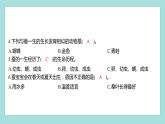 2.6 蚕的一生（习题课件）教科版（2017）三年级科学下册