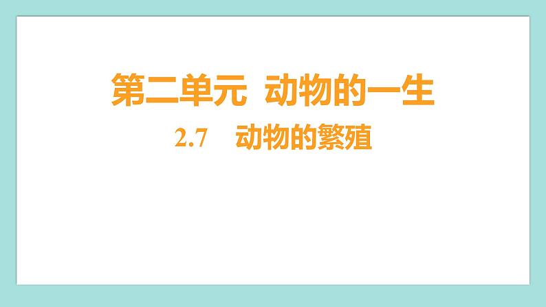 2.7 动物的繁殖（习题课件）教科版（2017）三年级科学下册01