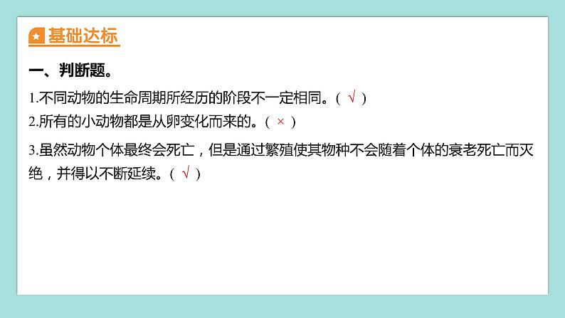 2.7 动物的繁殖（习题课件）教科版（2017）三年级科学下册02