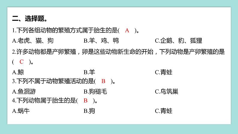 2.7 动物的繁殖（习题课件）教科版（2017）三年级科学下册03