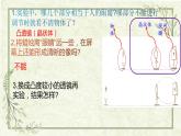 3.《听觉》（课件）