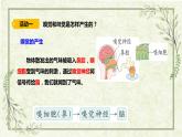 5《觸覺》（課件）