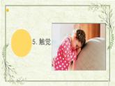 5《觸覺》（課件）