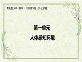 第一单元 《人体感知环境》单元梳理（课件）