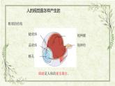 第一单元 《人体感知环境》单元梳理（课件）