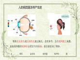第一单元 《人体感知环境》单元梳理（课件）