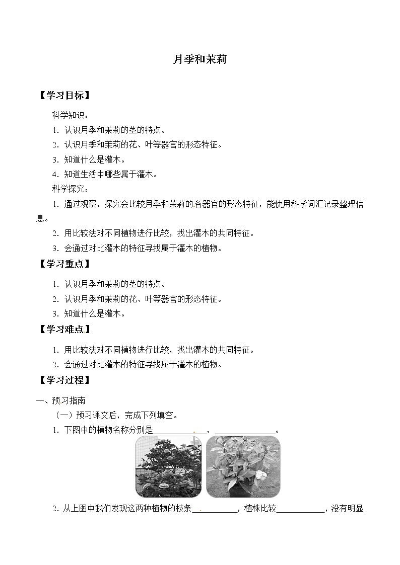 粤教版科学四下 2.月季和茉莉 学案（无答案）01