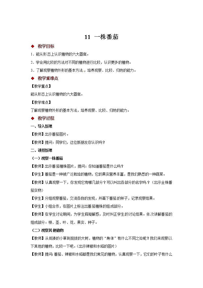 粤教版科学三下 11 一株番茄 教案01