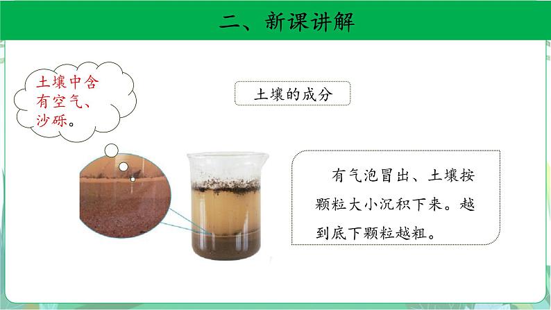 粤教版科学三下 2 土壤的组成 课件第6页