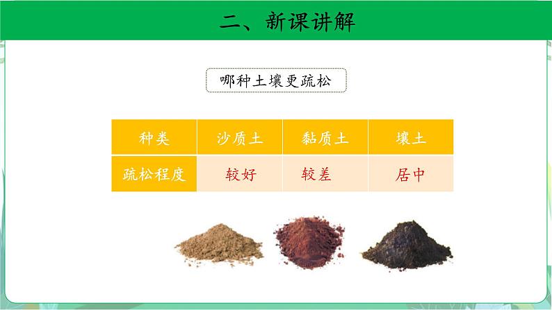 粤教版科学三下 3 土壤与植物 课件08