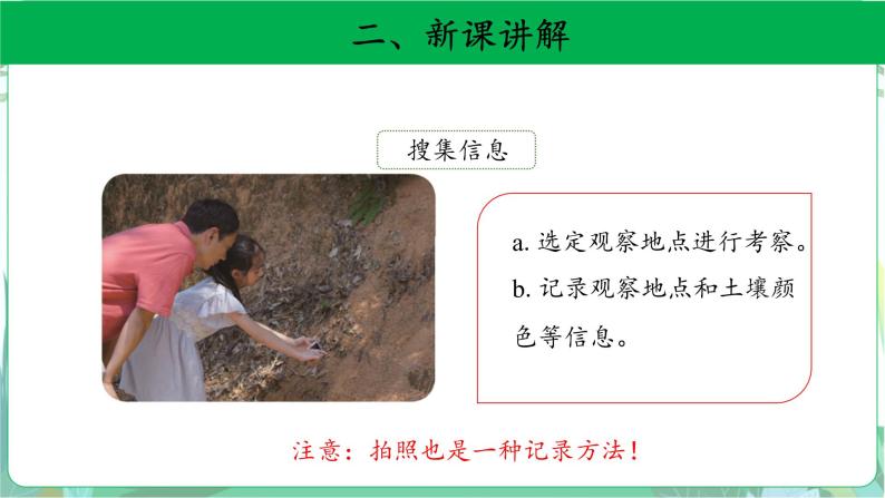 粤教版科学三下 5 网上学习：土壤的颜色 课件08