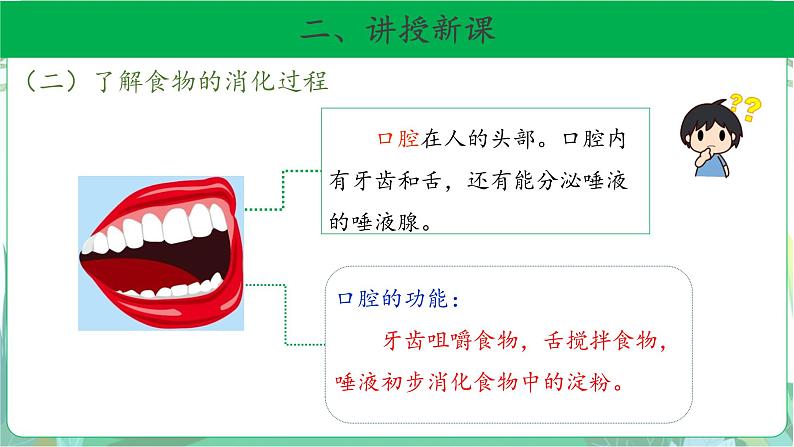 粤教版科学三下 7 食物的消化 课件第7页