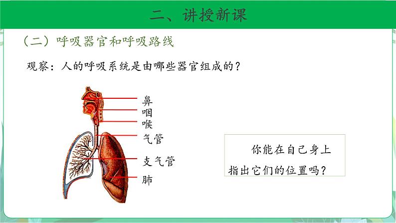 粤教版科学三下 8 我们离不开呼吸 课件06