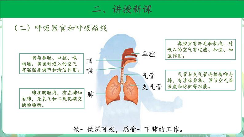 粤教版科学三下 8 我们离不开呼吸 课件07