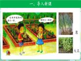 粤教版科学三下 14 植物的根 课件