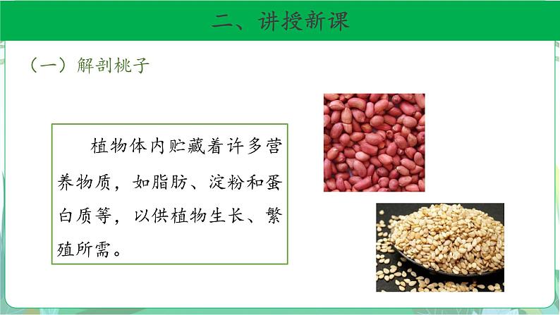 粤教版科学三下 17 专题探究：脂肪贮藏在哪里 课件03