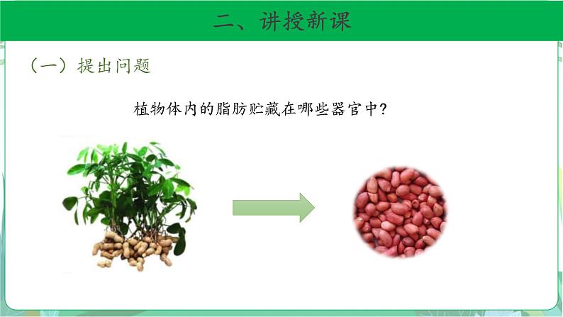 粤教版科学三下 17 专题探究：脂肪贮藏在哪里 课件04