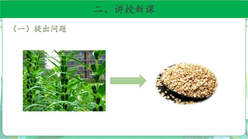 粤教版科学三下 17 专题探究：脂肪贮藏在哪里 课件05