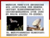 【冀人版】六下科学3.7《蝙蝠与雷达》课件+教案+视频