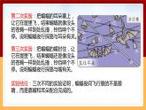 【冀人版】六下科学3.7《蝙蝠与雷达》课件+教案+视频