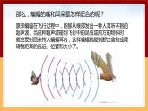 【冀人版】六下科学3.7《蝙蝠与雷达》课件+教案+视频