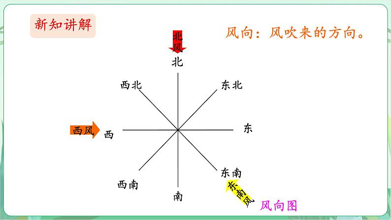 粤教版科学三下 19 风的观测 课件第4页