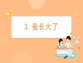 教科版三年级科学下册课件 第二单元 第3课时 蚕长大了