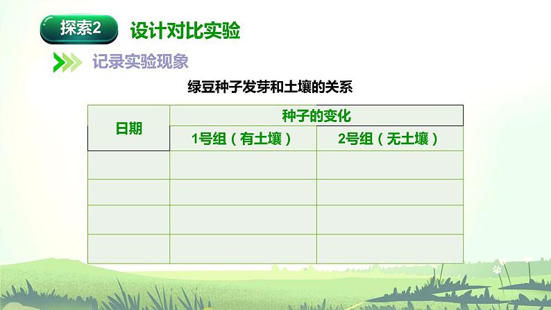 1.1 种子发芽实验（课件）-2022-2023学年五年级科学下册同步备课（教科版）07