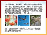 【冀人版】六下科学3.8《生物的启示》课件+教案+视频