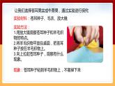 【冀人版】六下科学3.8《生物的启示》课件+教案+视频