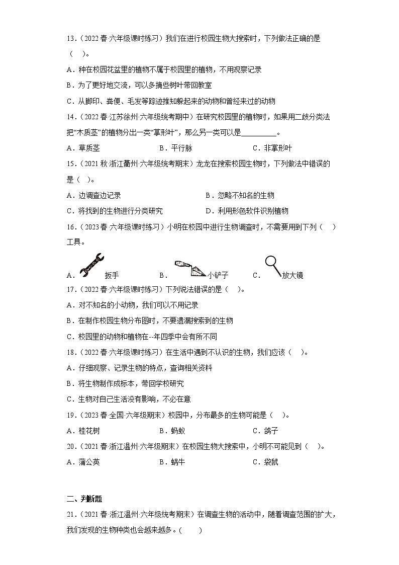 2.1校园生物大搜索第3页