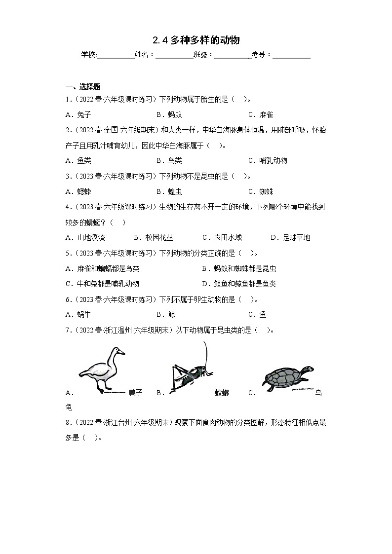 2.4多种多样的动物-第1页