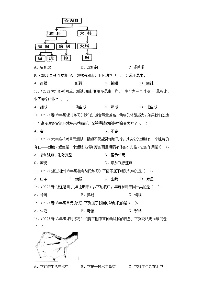 2.4多种多样的动物-第2页